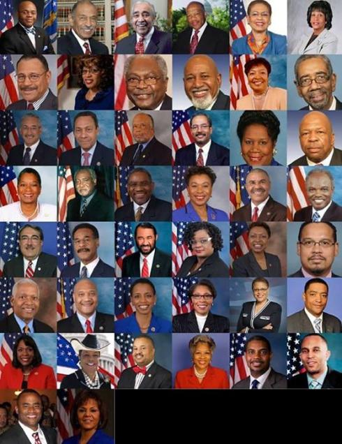 black caucus of the 113th congress